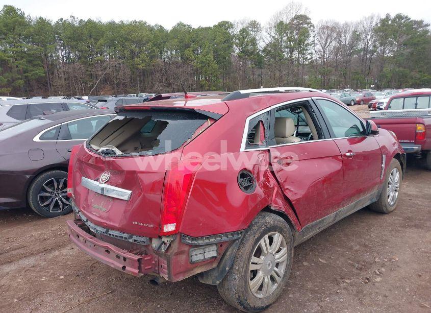 Photo 6 of 2011 Cadillac Srx LUXURY COLLECTION (VIN 3GYFNDEY3BS626665)