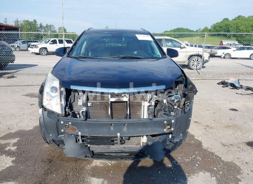 Photo 13 of 2011 Cadillac Srx LUXURY COLLECTION (VIN 3GYFNDEY3BS646947)