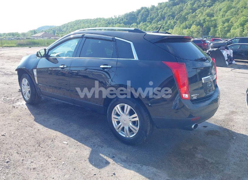 Photo 3 of 2011 Cadillac Srx LUXURY COLLECTION (VIN 3GYFNDEY3BS646947)