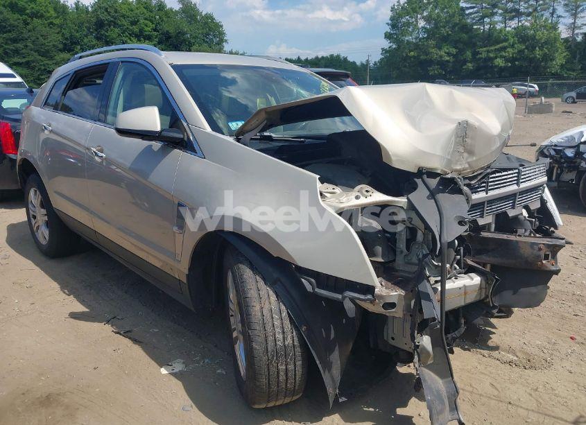 2011 Cadillac Srx LUXURY COLLECTION (VIN 3GYFNDEY3BS672626) main photo