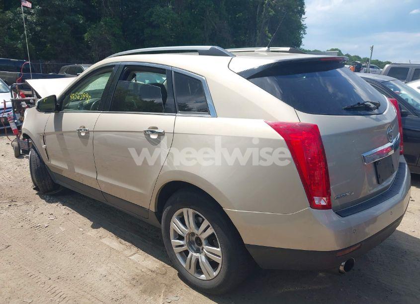 Photo 3 of 2011 Cadillac Srx LUXURY COLLECTION (VIN 3GYFNDEY3BS672626)