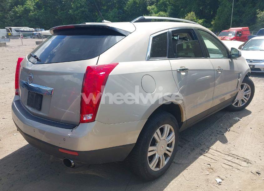 Photo 4 of 2011 Cadillac Srx LUXURY COLLECTION (VIN 3GYFNDEY3BS672626)