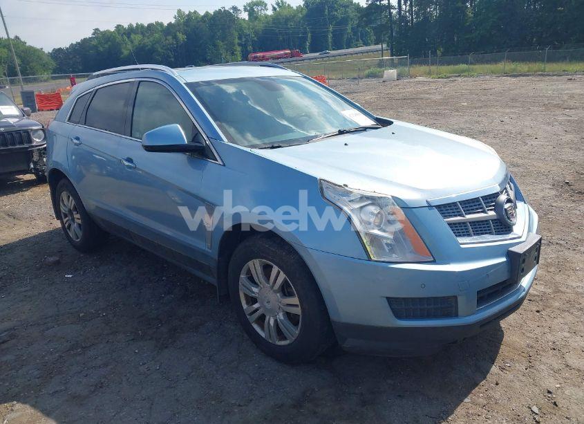 2011 Cadillac Srx LUXURY COLLECTION (VIN 3GYFNDEY3BS680399) main photo