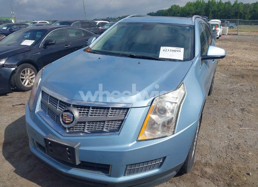 Photo 6 of 2011 Cadillac Srx LUXURY COLLECTION (VIN 3GYFNDEY3BS680399)