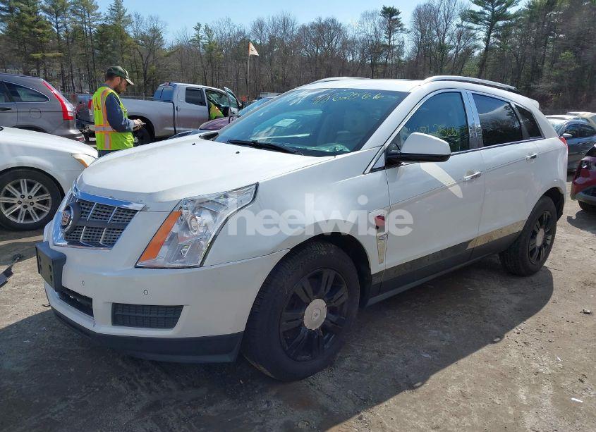 Photo 2 of 2010 Cadillac Srx LUXURY COLLECTION (VIN 3GYFNDEY4AS593626)