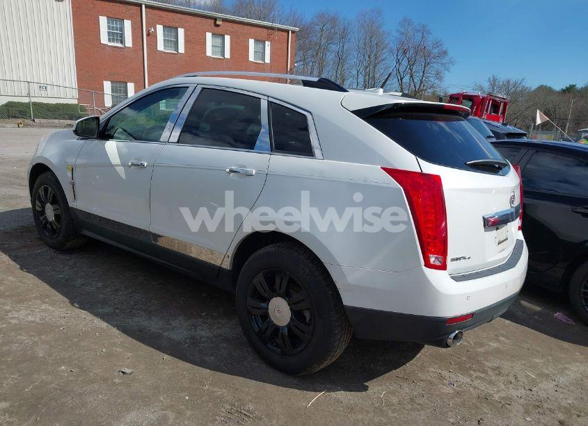Photo 3 of 2010 Cadillac Srx LUXURY COLLECTION (VIN 3GYFNDEY4AS593626)