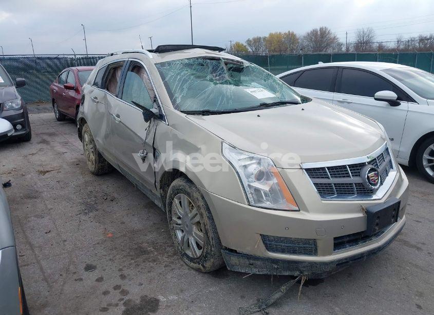2011 Cadillac Srx LUXURY COLLECTION (VIN 3GYFNDEY5BS584919) main photo