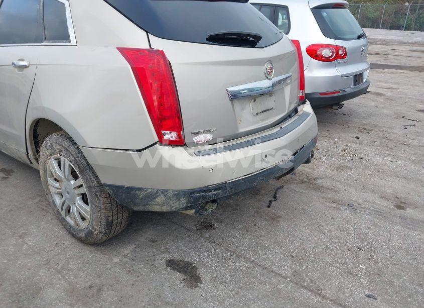 Photo 12 of 2011 Cadillac Srx LUXURY COLLECTION (VIN 3GYFNDEY5BS584919)