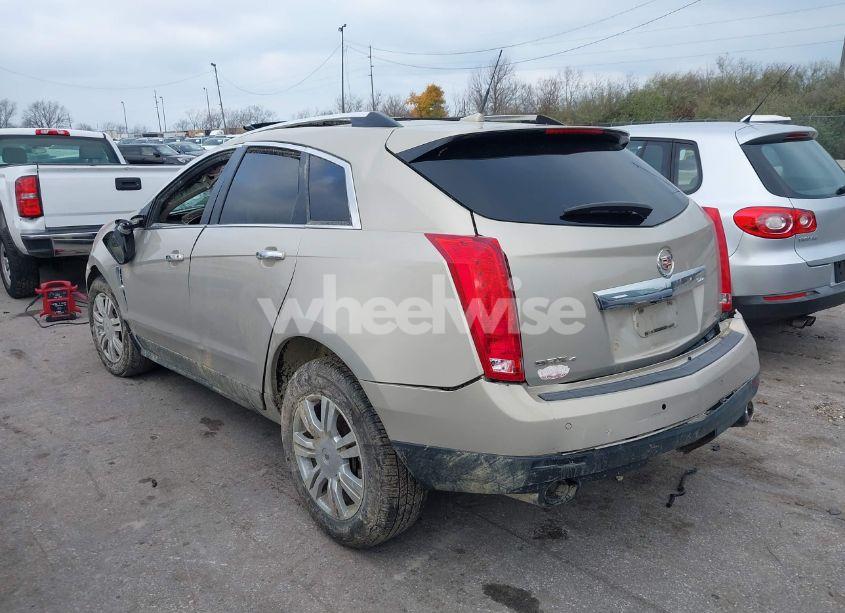 Photo 3 of 2011 Cadillac Srx LUXURY COLLECTION (VIN 3GYFNDEY5BS584919)