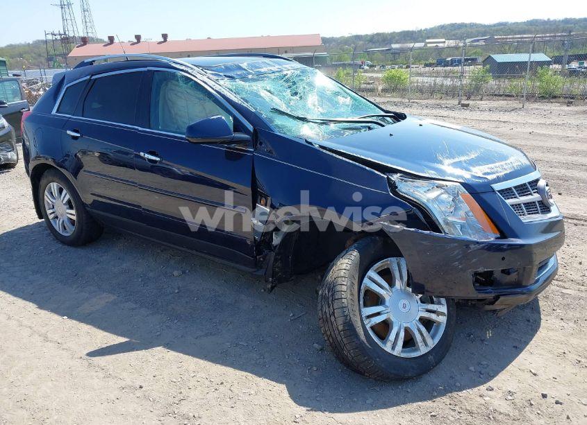 2011 Cadillac Srx LUXURY COLLECTION (VIN 3GYFNDEY5BS584936) main photo