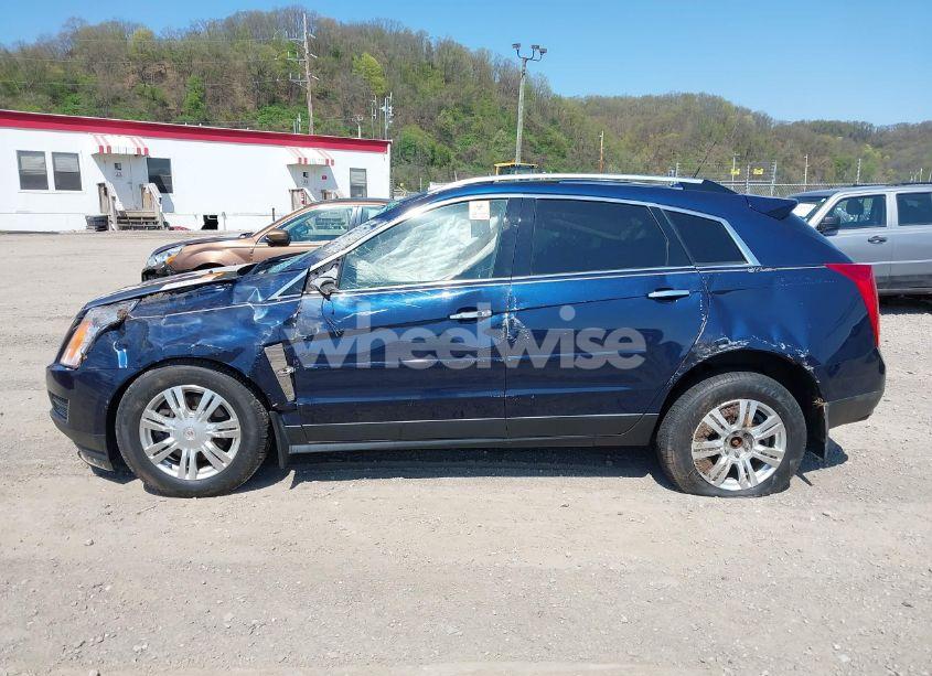 Photo 14 of 2011 Cadillac Srx LUXURY COLLECTION (VIN 3GYFNDEY5BS584936)