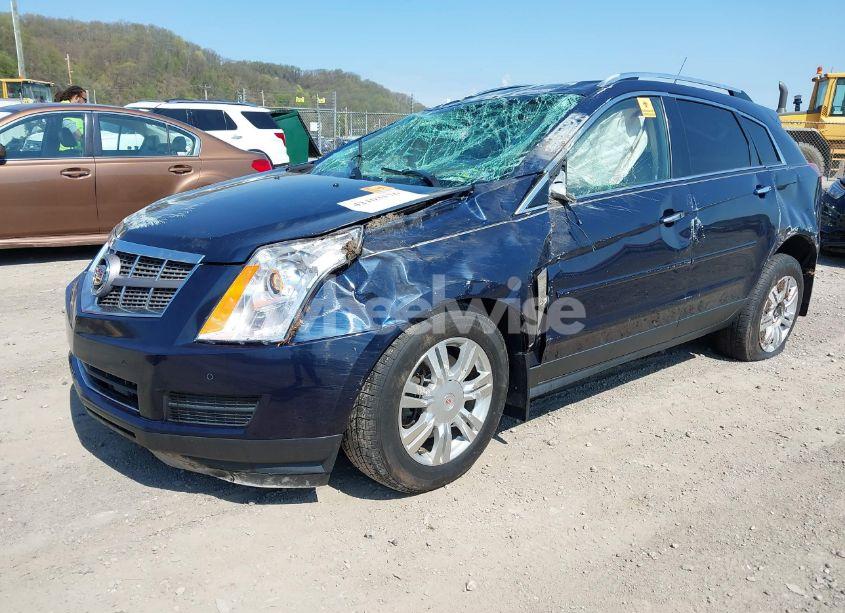 Photo 2 of 2011 Cadillac Srx LUXURY COLLECTION (VIN 3GYFNDEY5BS584936)