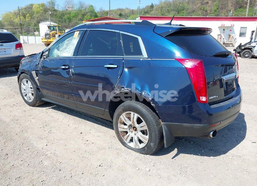 Photo 3 of 2011 Cadillac Srx LUXURY COLLECTION (VIN 3GYFNDEY5BS584936)