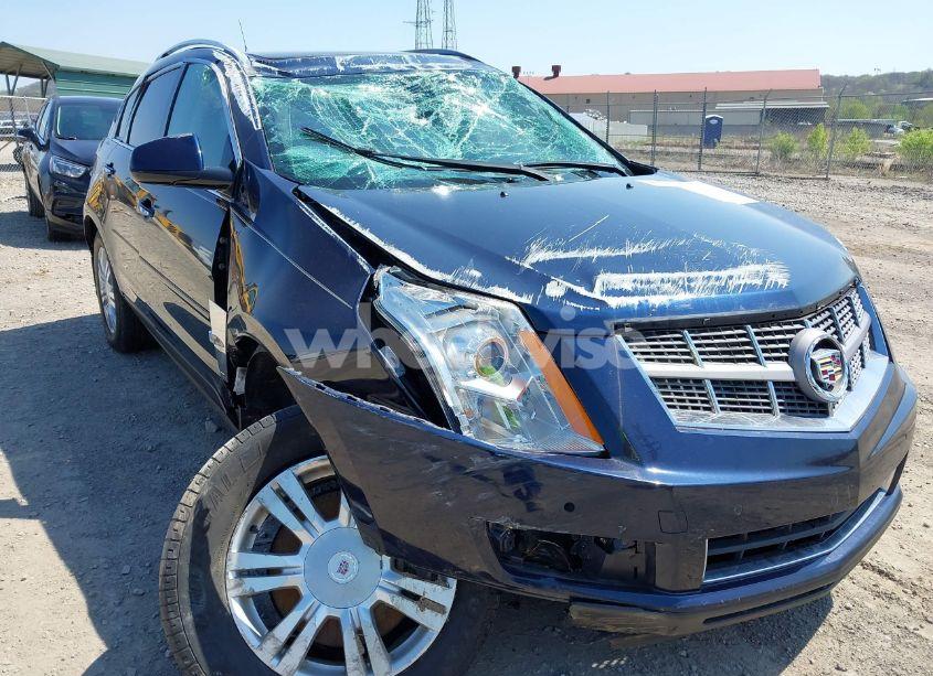 Photo 6 of 2011 Cadillac Srx LUXURY COLLECTION (VIN 3GYFNDEY5BS584936)