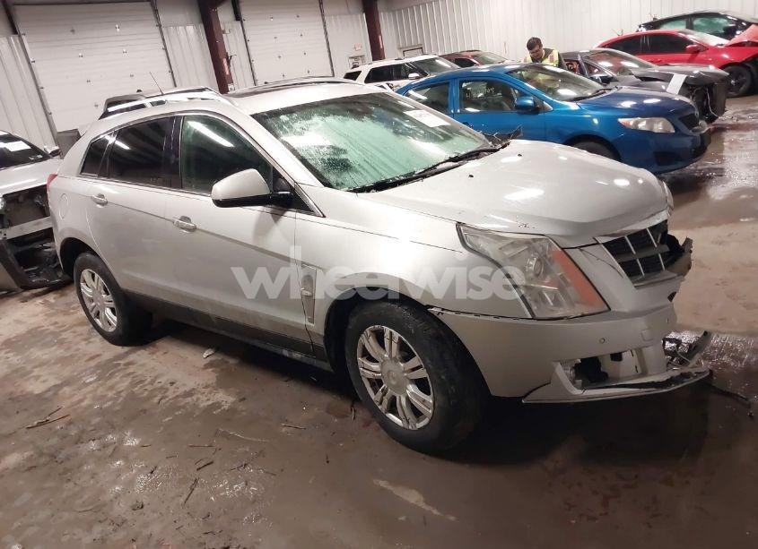 2011 Cadillac Srx LUXURY COLLECTION (VIN 3GYFNDEY5BS668240) main photo