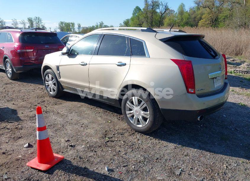 Photo 3 of 2011 Cadillac Srx LUXURY COLLECTION (VIN 3GYFNDEY5BS672840)