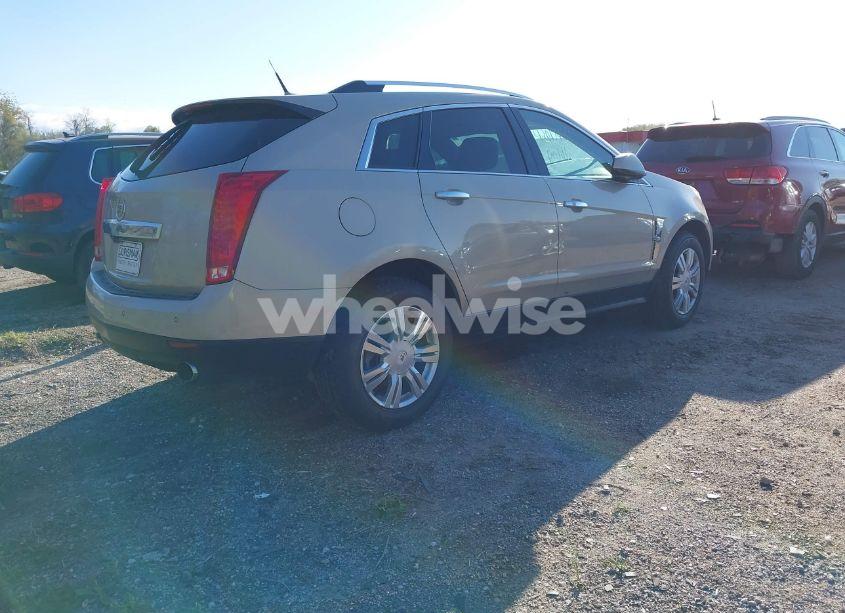 Photo 4 of 2011 Cadillac Srx LUXURY COLLECTION (VIN 3GYFNDEY5BS672840)