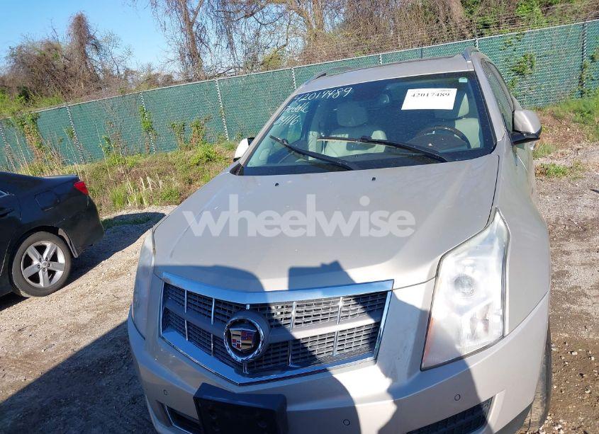 Photo 6 of 2011 Cadillac Srx LUXURY COLLECTION (VIN 3GYFNDEY5BS672840)