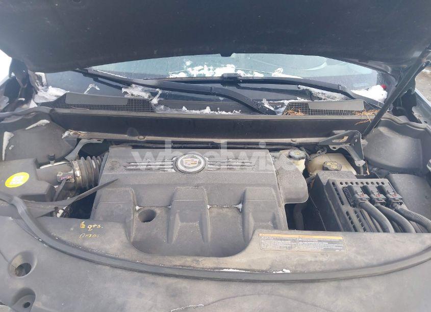 Photo 10 of 2011 Cadillac Srx LUXURY COLLECTION (VIN 3GYFNDEY6BS584542)