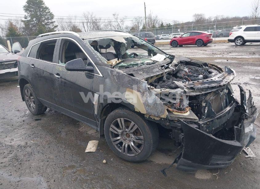 2011 Cadillac Srx LUXURY COLLECTION (VIN 3GYFNDEY7BS551825) main photo