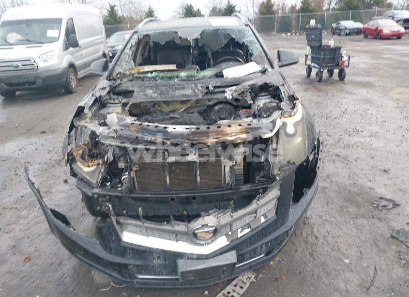 Photo 6 of 2011 Cadillac Srx LUXURY COLLECTION (VIN 3GYFNDEY7BS551825)