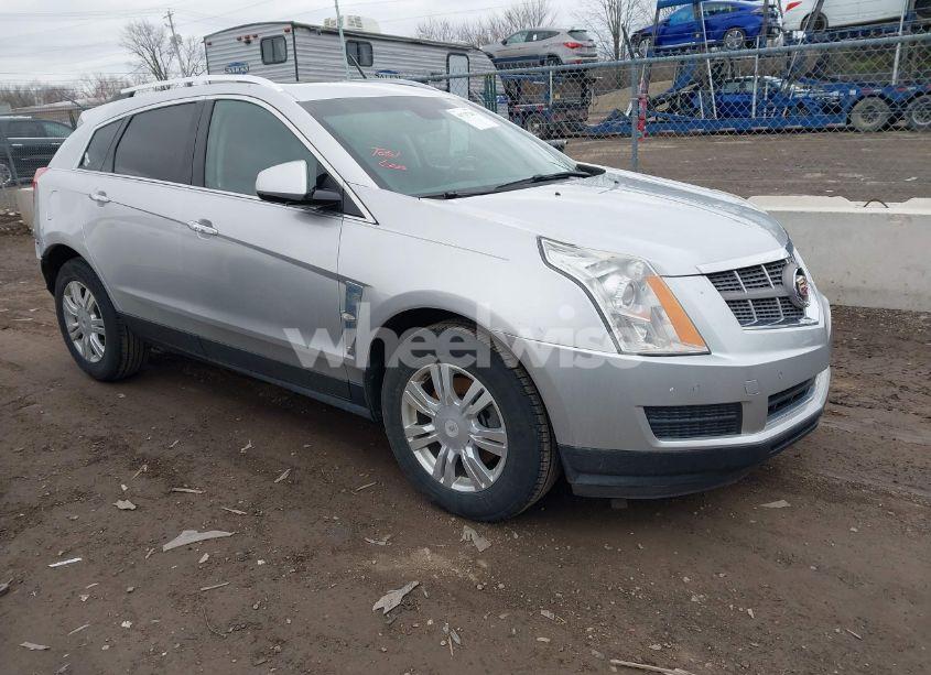 2011 Cadillac Srx LUXURY COLLECTION (VIN 3GYFNDEY7BS661323) main photo