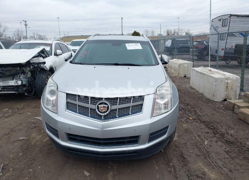 Photo 12 of 2011 Cadillac Srx LUXURY COLLECTION (VIN 3GYFNDEY7BS661323)
