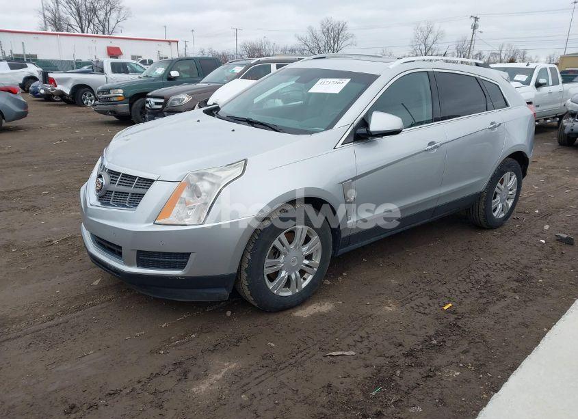 Photo 2 of 2011 Cadillac Srx LUXURY COLLECTION (VIN 3GYFNDEY7BS661323)