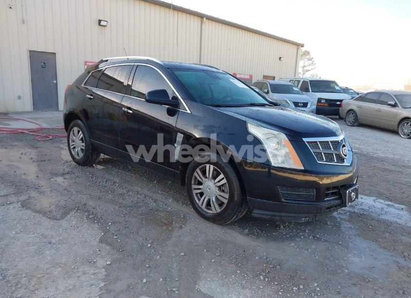 2011 Cadillac Srx LUXURY COLLECTION (VIN 3GYFNDEY7BS680745) main photo