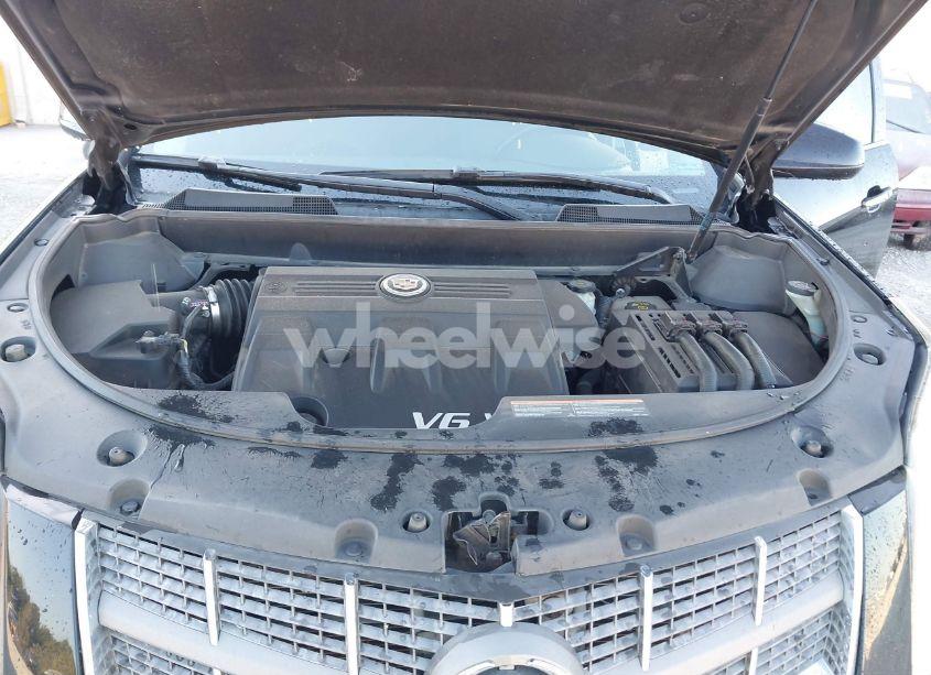 Photo 10 of 2011 Cadillac Srx LUXURY COLLECTION (VIN 3GYFNDEY7BS680745)