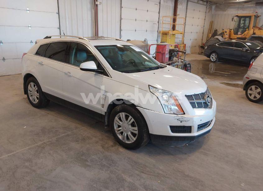 2010 Cadillac Srx LUXURY COLLECTION (VIN 3GYFNDEY8AS540220) main photo