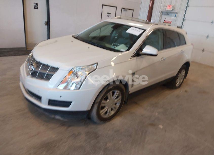 Photo 2 of 2010 Cadillac Srx LUXURY COLLECTION (VIN 3GYFNDEY8AS540220)
