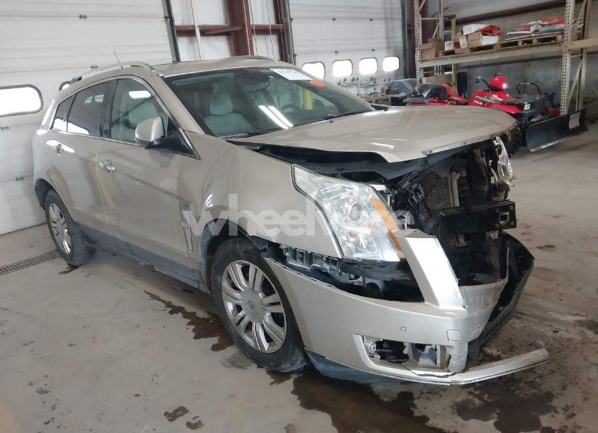 2011 Cadillac Srx LUXURY COLLECTION (VIN 3GYFNDEY8BS587944) main photo