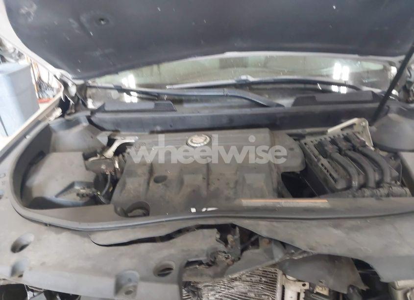 Photo 10 of 2011 Cadillac Srx LUXURY COLLECTION (VIN 3GYFNDEY8BS587944)