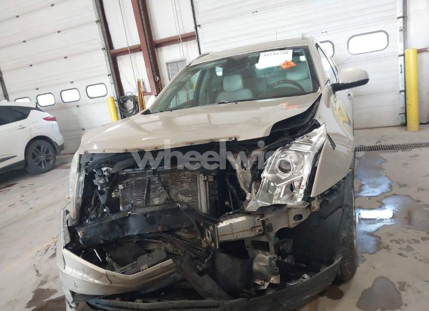 Photo 11 of 2011 Cadillac Srx LUXURY COLLECTION (VIN 3GYFNDEY8BS587944)