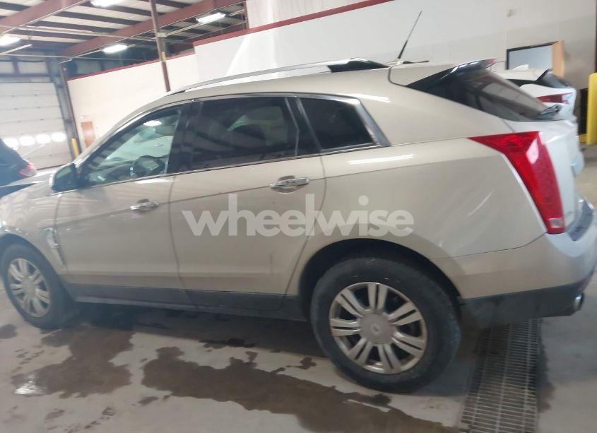 Photo 13 of 2011 Cadillac Srx LUXURY COLLECTION (VIN 3GYFNDEY8BS587944)