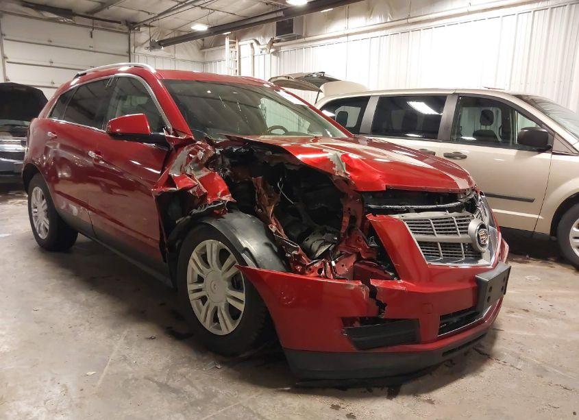 2011 Cadillac Srx LUXURY COLLECTION (VIN 3GYFNDEY9BS528031) main photo