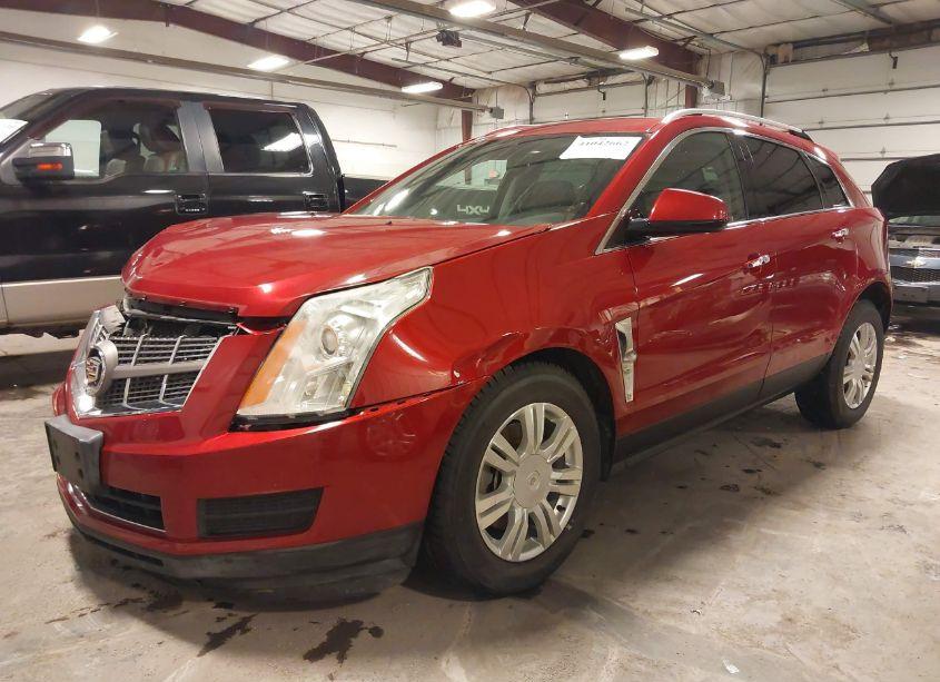 Photo 2 of 2011 Cadillac Srx LUXURY COLLECTION (VIN 3GYFNDEY9BS528031)