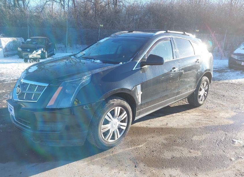 Photo 2 of 2011 Cadillac Srx LUXURY COLLECTION (VIN 3GYFNDEY9BS535612)
