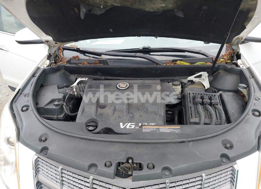 Photo 10 of 2011 Cadillac Srx LUXURY COLLECTION (VIN 3GYFNDEYXBS526353)