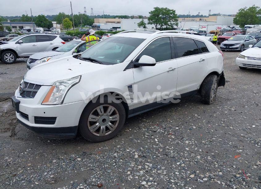 Photo 2 of 2011 Cadillac Srx LUXURY COLLECTION (VIN 3GYFNDEYXBS526353)