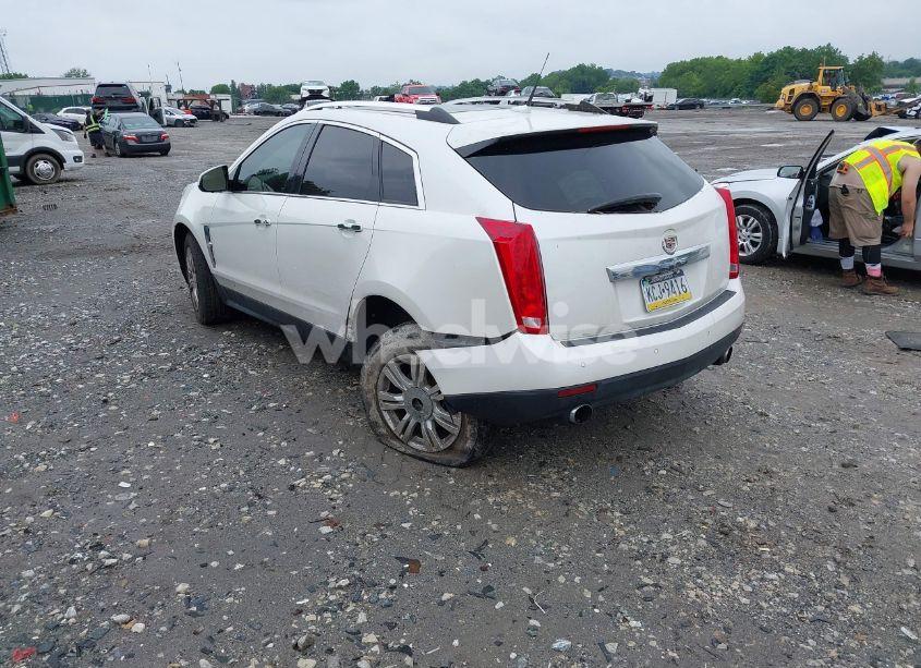 Photo 3 of 2011 Cadillac Srx LUXURY COLLECTION (VIN 3GYFNDEYXBS526353)