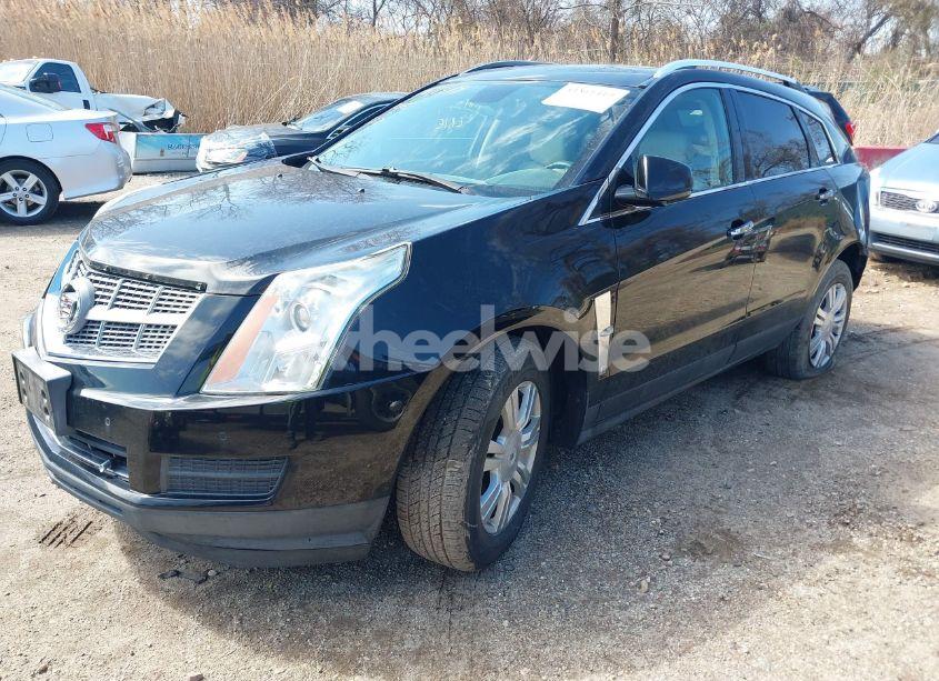 Photo 2 of 2011 Cadillac Srx LUXURY COLLECTION (VIN 3GYFNDEYXBS528331)