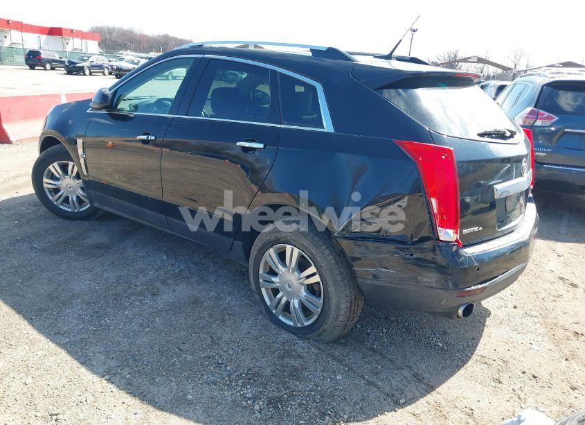Photo 3 of 2011 Cadillac Srx LUXURY COLLECTION (VIN 3GYFNDEYXBS528331)