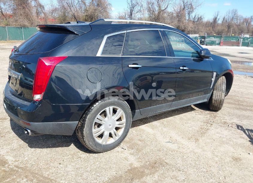 Photo 4 of 2011 Cadillac Srx LUXURY COLLECTION (VIN 3GYFNDEYXBS528331)