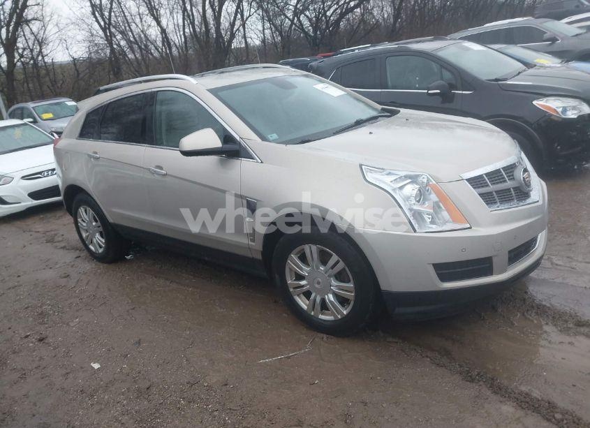 2011 Cadillac Srx LUXURY COLLECTION (VIN 3GYFNDEYXBS528961) main photo