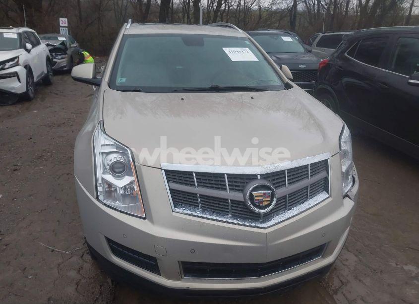 Photo 12 of 2011 Cadillac Srx LUXURY COLLECTION (VIN 3GYFNDEYXBS528961)