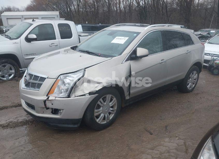 Photo 2 of 2011 Cadillac Srx LUXURY COLLECTION (VIN 3GYFNDEYXBS528961)