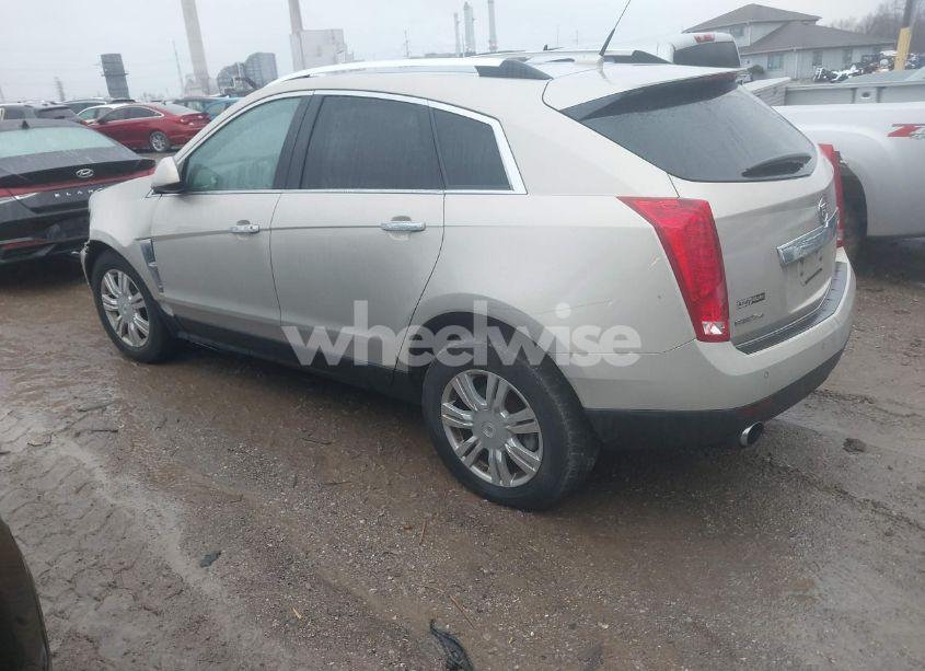 Photo 3 of 2011 Cadillac Srx LUXURY COLLECTION (VIN 3GYFNDEYXBS528961)