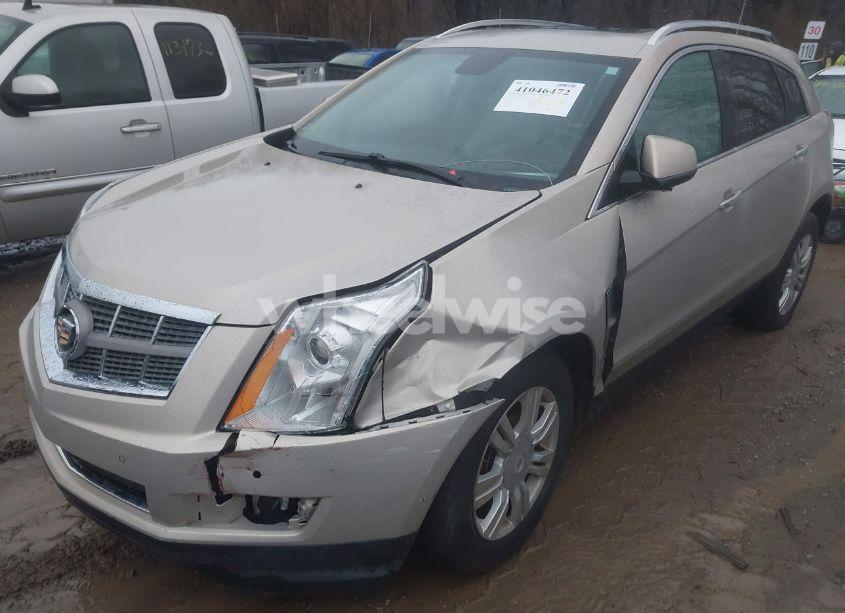 Photo 6 of 2011 Cadillac Srx LUXURY COLLECTION (VIN 3GYFNDEYXBS528961)